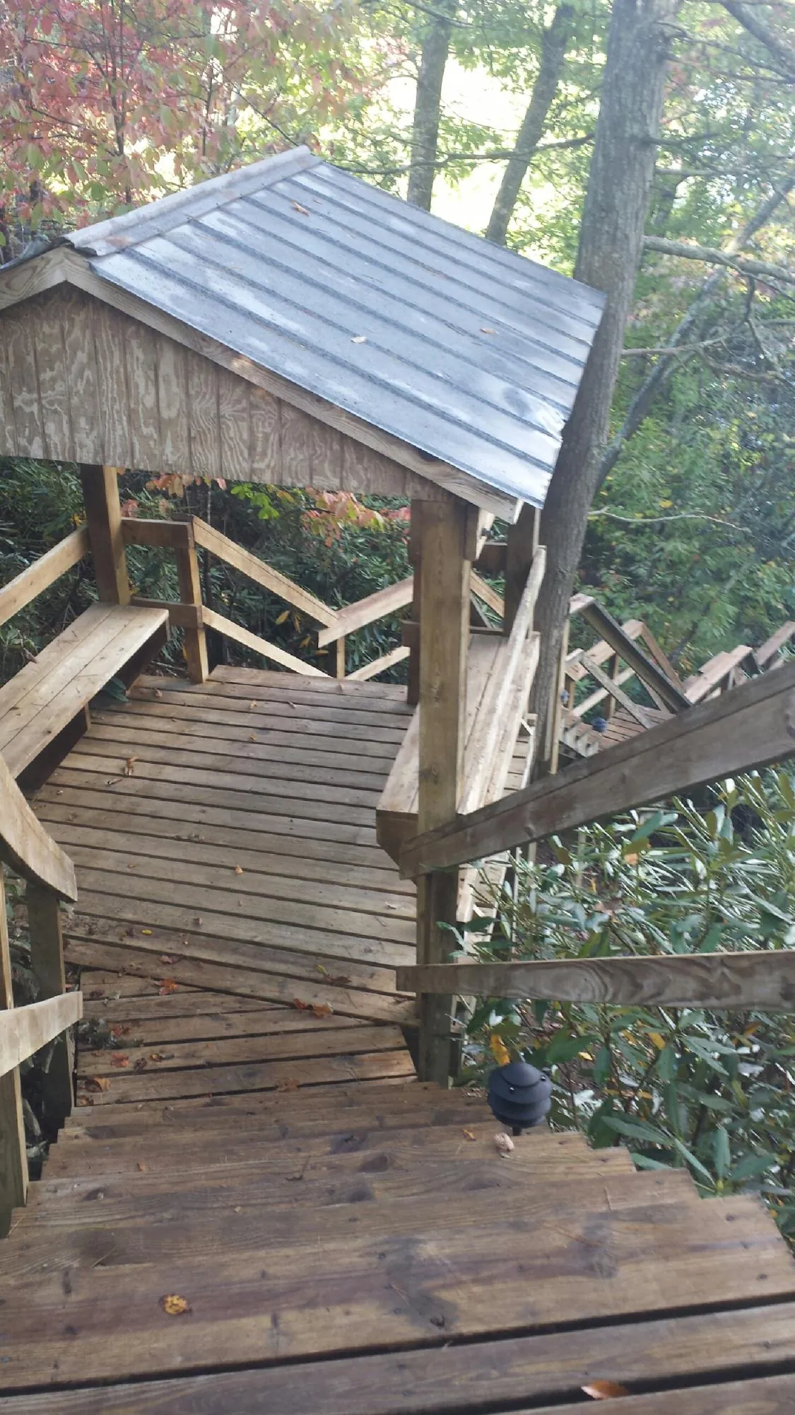 Metal roofed shelter over wooden steps on a wooded walkway — Skylight Repair & Installation work by our crew in Pantego